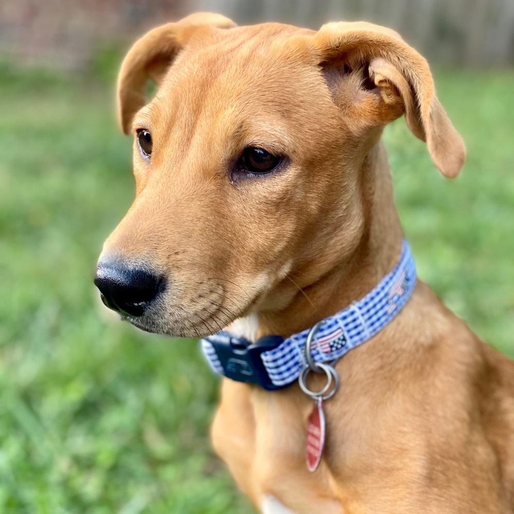 Meet your Posher, Jill